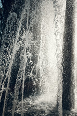 Jets of water in sunlight. Spray fountain. Splashes of water. Water drops.