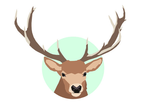 Low poly Elch auf gr&uuml;nem Kreis (Vektorgrafik)