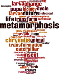 Obraz premium Metamorphosis word cloud concept. Vector illustration