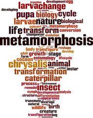 Metamorphosis word cloud concept. Vector illustration