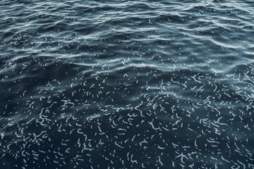 Sea surface aerial view. Background shot of clear sea water surface. Blue sea water in calm. Sea texture. Background blue waves of the sea with sea foam.