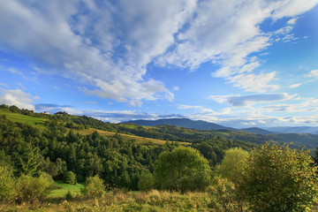 Fototapeta na wymiar Carpathian mountain landscape with autumn plants and cloudy sky