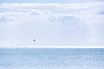 perfect sky and water of ocean