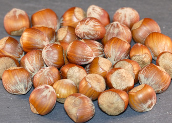 Haselnuss