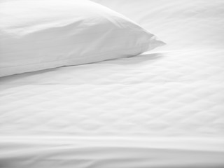 Dust mites pillow and bedding cover.