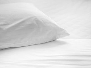 Dust mites pillow and bedding cover.