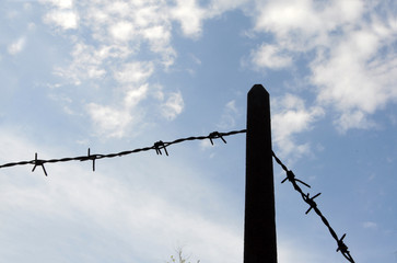 barbed wire