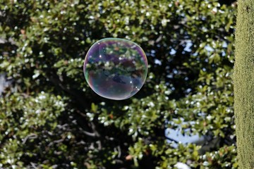 Pompa de jabón en un jardín.