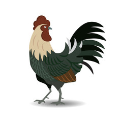 Chickens Hen and Rooster. vector illustration