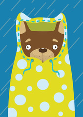 Little dog in a raincoat in the rain