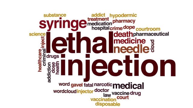 Lethal injection animated word cloud.