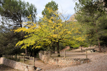 Parque.
Espacio para disfrutar del aire y la naturaleza.
