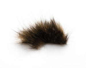 Cat fur isolated on white background. Allergy.