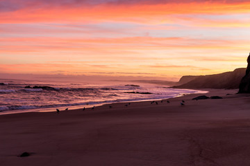 Fototapeta na wymiar Little birds enjoying the red sunrise over Baleal Beach, Portugal