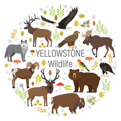 Obraz na płótnie Canvas Circle vector set of plants and Yellowstone National Park animals grizzly, moose, elk, bear, wolf, golden eagle, bison, bighorn sheep, bald eagle, western tanager, isolated on transparent background