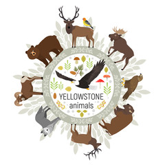 Circle vector template of Yellowstone National Park animals grizzly, moose, elk, bear, wolf, golden eagle, bison, bighorn sheep, bald eagle, western tanager, isolated on transparent background