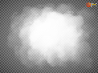 Fog or smoke isolated transparent special effect. White vector cloudiness, mist  smog background.  illustration