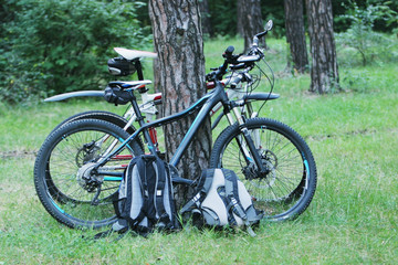 велосипеды в парке, прислоненные к дереву © yulanaom
