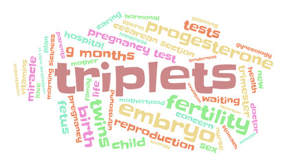 Triplets. Word cloud, multicolored font, white background. The miracle of birth.