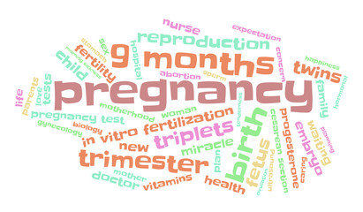 Fototapeta premium Pregnancy. Word cloud, multicolored font, white background. The miracle of birth.