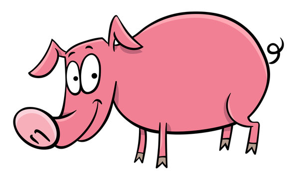 pig cartoon character