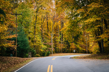 Obraz premium Autumn color along Carmichael Road, near Wye Island, Maryland.