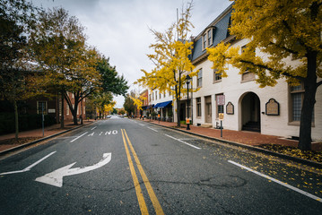 Fototapeta na wymiar Autumn color along Federal Street, in Easton, Maryland.
