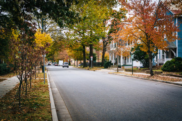 Autumn color and houses along Goldsborough Street, in Easton, Ma