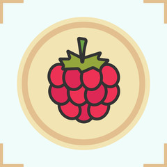Raspberry color icon