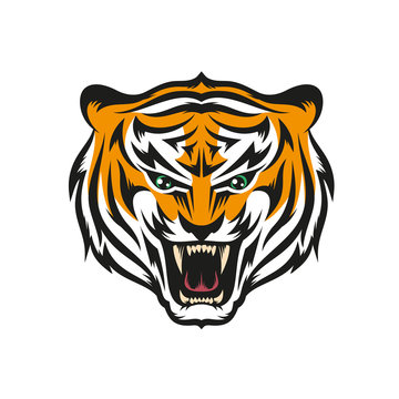 Isolated head of roaring tiger with grin in style the mascots for sports teams. Layered vector illustration - easy to edit.