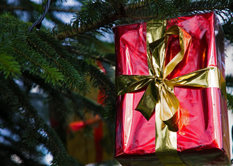 Christmas time is near... a present hanging in a christmas tree