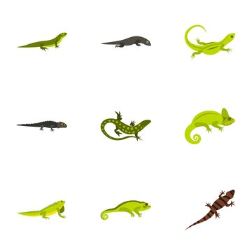 Chameleon icons set. Flat illustration of 9 chameleon vector icons for web