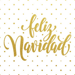 Spanish Merry Christmas Feliz Navidad text greeting