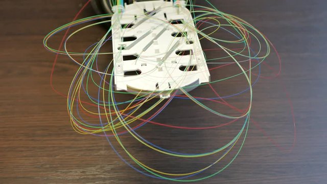 Optical tray with colored fibers
