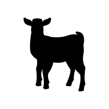 goat kid vector illustration  black silhouette profile