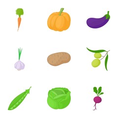 Vegetables icons set. Cartoon illustration of 9 vegetables vector icons for web