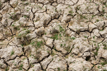 Dry land.
