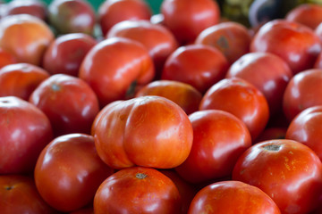 Tomatoes at a produce stand