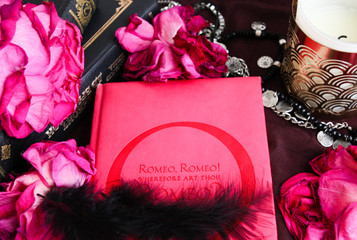 Dry roses and pink diary in gothic set-up 5