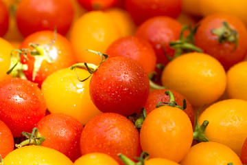 Small Red and Yellow tomato.
