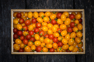 Small Red and Yellow tomato.