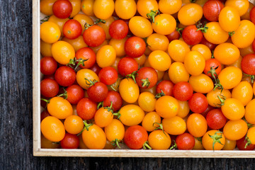 Small Red and Yellow tomato.