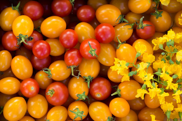 Small Red and Yellow tomato.