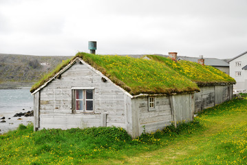 Obraz premium Wooden houses with green roofs in Hamningberg.