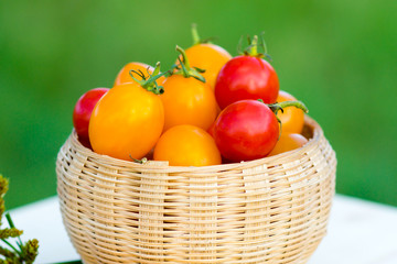 Small Red and Yellow tomato.