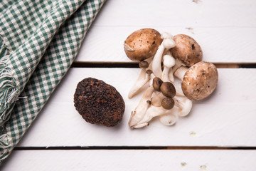 Black truffle of Sarrion in Teruel Spain, and mushrooms