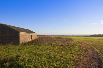 farm building and wheat crop