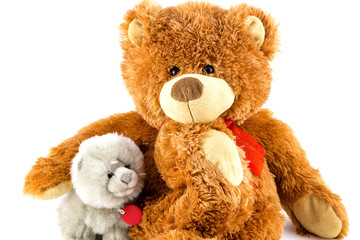 teddy bear , Soft plush toy.