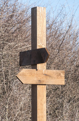 Blank wooden signboards with arrows on winter vegetation background