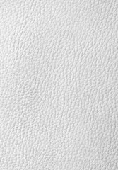 White leather background